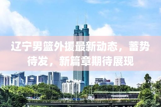 遼寧男籃外援最新動(dòng)態(tài)，蓄勢(shì)待發(fā)，新篇章期待展現(xiàn)
