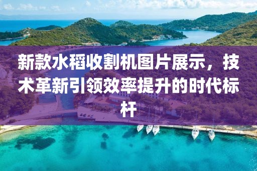 新款水稻收割機圖片展示，技術革新引領效率提升的時代標桿
