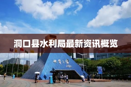 洞口縣水利局最新資訊概覽
