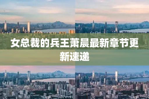 女總裁的兵王蕭晨最新章節(jié)更新速遞