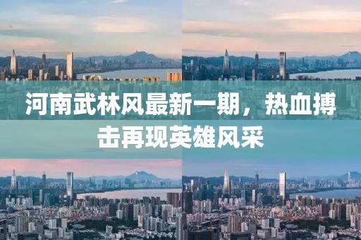 河南武林風最新一期，熱血搏擊再現(xiàn)英雄風采