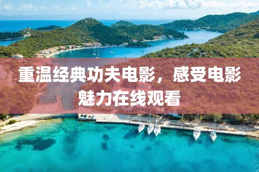 重溫經(jīng)典功夫電影，感受電影魅力在線觀看