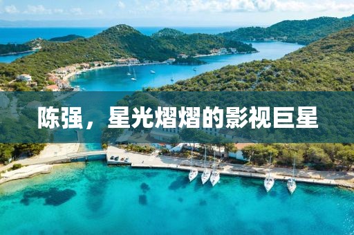 陳強(qiáng)，星光熠熠的影視巨星