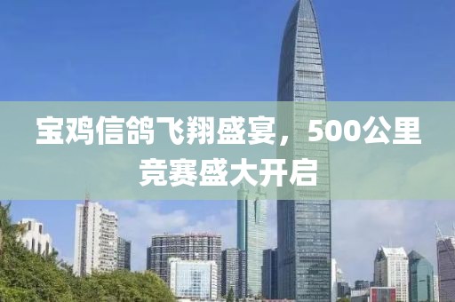 寶雞信鴿飛翔盛宴，500公里競賽盛大開啟