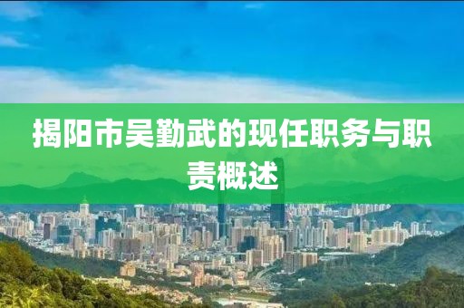 揭陽市吳勤武的現(xiàn)任職務(wù)與職責(zé)概述