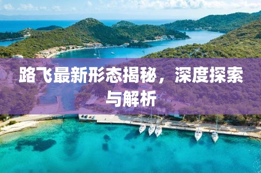 路飛最新形態(tài)揭秘，深度探索與解析