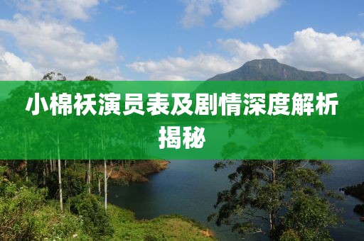 小棉襖演員表及劇情深度解析揭秘