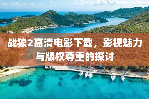 戰(zhàn)狼2高清電影下載，影視魅力與版權(quán)尊重的探討