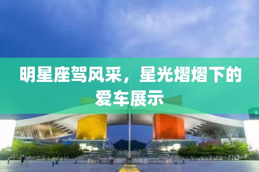 明星座駕風(fēng)采，星光熠熠下的愛車展示