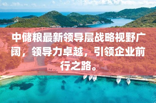 中儲糧最新領(lǐng)導(dǎo)層戰(zhàn)略視野廣闊，領(lǐng)導(dǎo)力卓越，引領(lǐng)企業(yè)前行之路。