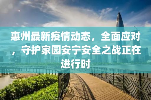 惠州最新疫情動態(tài)，全面應(yīng)對，守護家園安寧安全之戰(zhàn)正在進行時