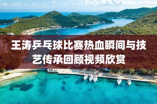王濤乒乓球比賽熱血瞬間與技藝傳承回顧視頻欣賞