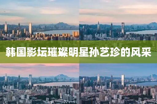 韓國(guó)影壇璀璨明星孫藝珍的風(fēng)采