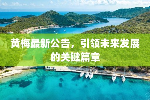 黃梅最新公告，引領未來發(fā)展的關鍵篇章