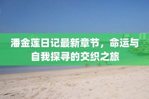 潘金蓮日記最新章節(jié)，命運(yùn)與自我探尋的交織之旅