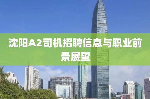 沈陽A2司機招聘信息與職業(yè)前景展望