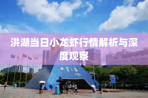 洪湖當(dāng)日小龍蝦行情解析與深度觀察
