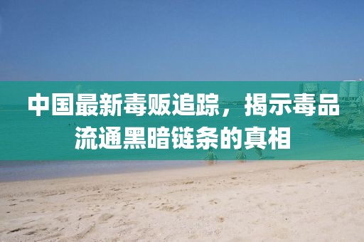 中國最新毒販追蹤，揭示毒品流通黑暗鏈條的真相