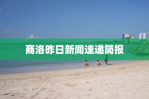 商洛昨日新聞速遞簡報(bào)