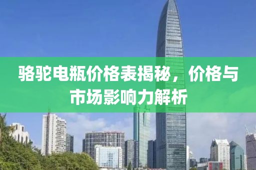 駱駝電瓶價(jià)格表揭秘，價(jià)格與市場影響力解析
