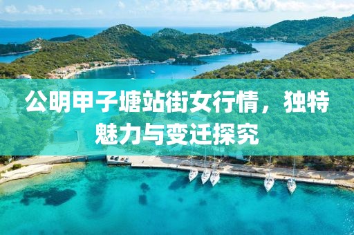 公明甲子塘站街女行情，獨(dú)特魅力與變遷探究
