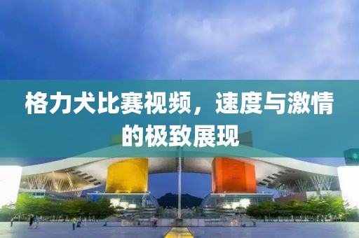 格力犬比賽視頻，速度與激情的極致展現(xiàn)