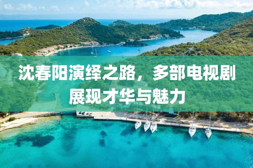 沈春陽演繹之路，多部電視劇展現(xiàn)才華與魅力