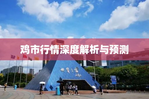 雞市行情深度解析與預(yù)測