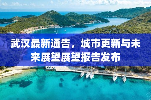 武漢最新通告，城市更新與未來(lái)展望展望報(bào)告發(fā)布