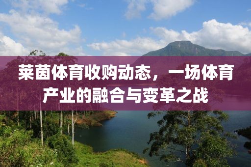 萊茵體育收購動態(tài)，一場體育產(chǎn)業(yè)的融合與變革之戰(zhàn)
