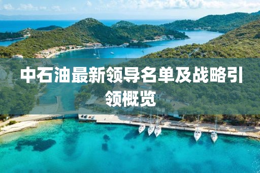 中石油最新領(lǐng)導(dǎo)名單及戰(zhàn)略引領(lǐng)概覽