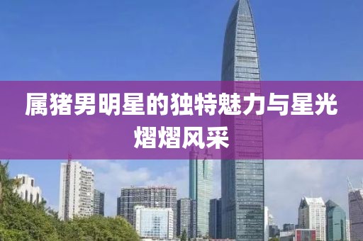 屬豬男明星的獨特魅力與星光熠熠風(fēng)采