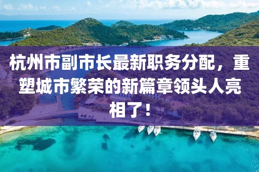 杭州市副市長最新職務(wù)分配，重塑城市繁榮的新篇章領(lǐng)頭人亮相了！