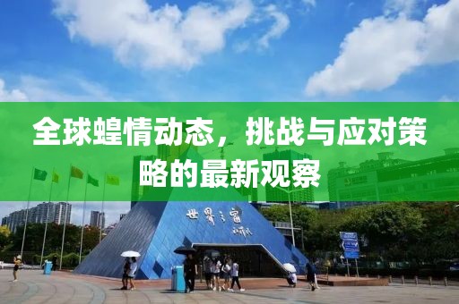 全球蝗情動態(tài)，挑戰(zhàn)與應(yīng)對策略的最新觀察