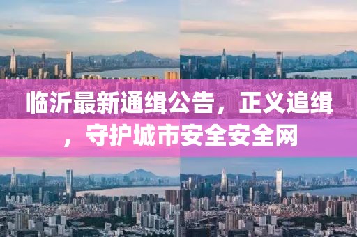 臨沂最新通緝公告，正義追緝，守護(hù)城市安全安全網(wǎng)