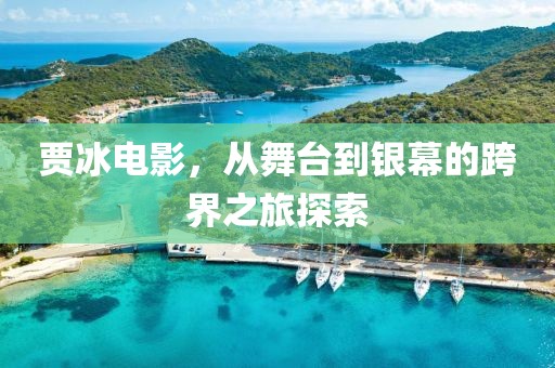 賈冰電影，從舞臺(tái)到銀幕的跨界之旅探索