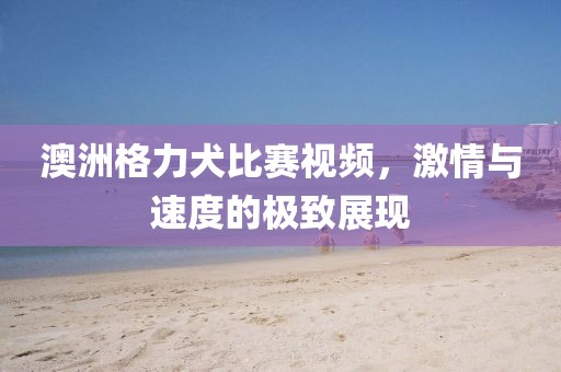 澳洲格力犬比賽視頻，激情與速度的極致展現(xiàn)
