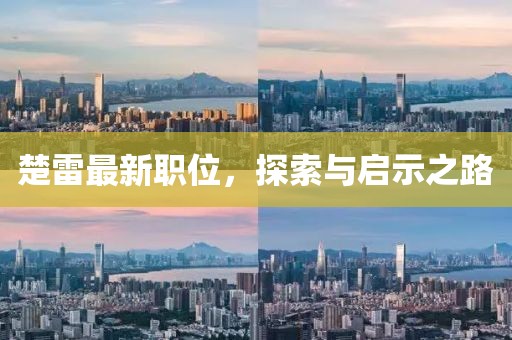 楚雷最新職位，探索與啟示之路