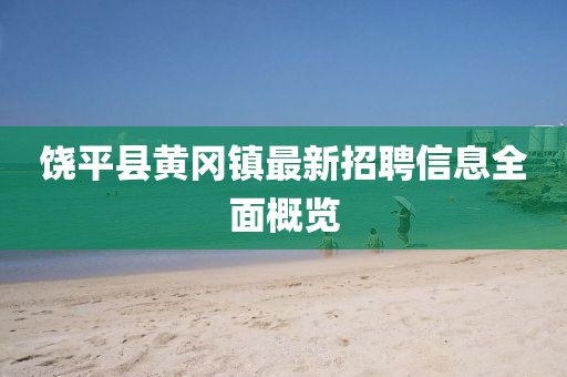 饒平縣黃岡鎮(zhèn)最新招聘信息全面概覽