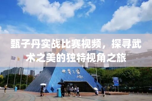 甄子丹實(shí)戰(zhàn)比賽視頻，探尋武術(shù)之美的獨(dú)特視角之旅
