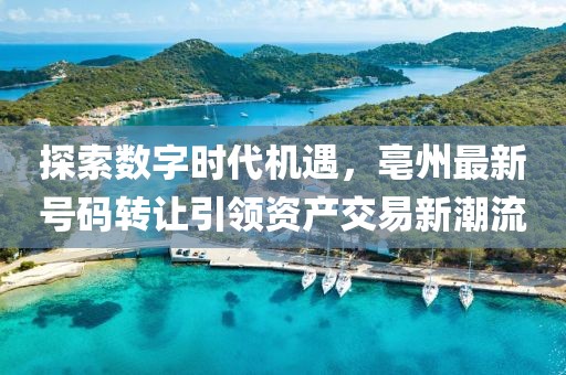 探索數(shù)字時(shí)代機(jī)遇，亳州最新號(hào)碼轉(zhuǎn)讓引領(lǐng)資產(chǎn)交易新潮流