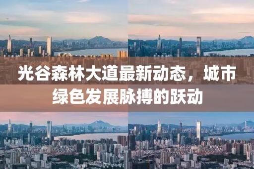 光谷森林大道最新動態(tài)，城市綠色發(fā)展脈搏的躍動