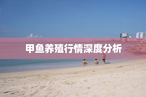 甲魚養(yǎng)殖行情深度分析