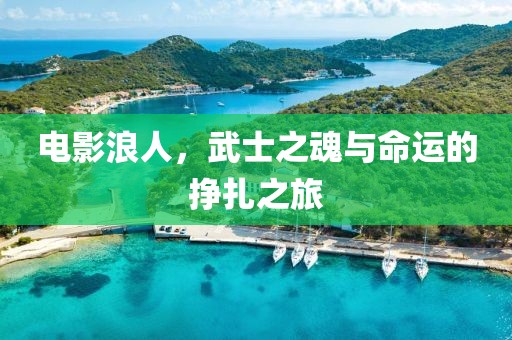 電影浪人，武士之魂與命運(yùn)的掙扎之旅
