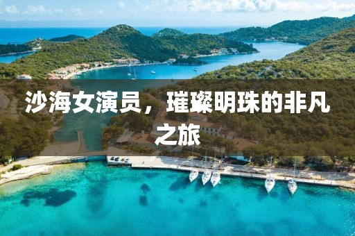 沙海女演員，璀璨明珠的非凡之旅