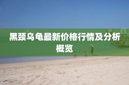 黑頸烏龜最新價(jià)格行情及分析概覽