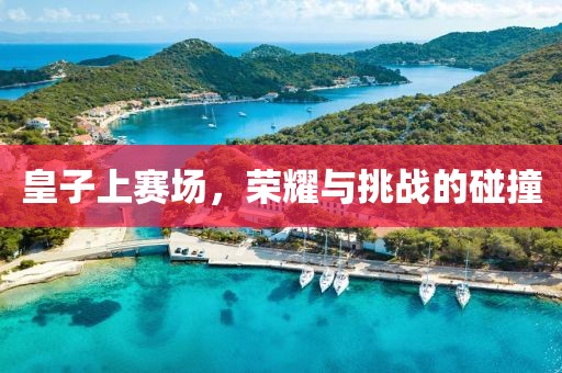 皇子上賽場，榮耀與挑戰(zhàn)的碰撞