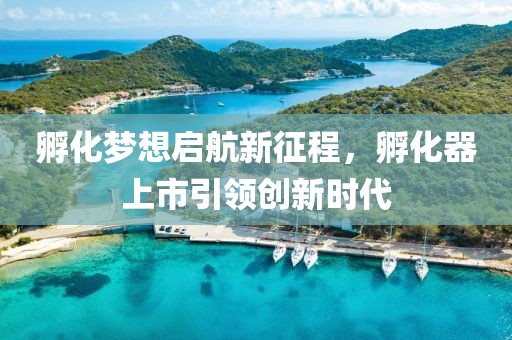 孵化夢想啟航新征程，孵化器上市引領創(chuàng)新時代