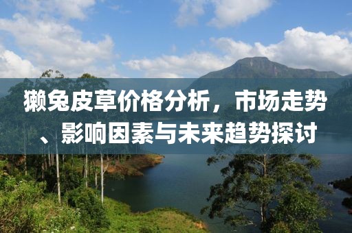 獺兔皮草價(jià)格分析，市場(chǎng)走勢(shì)、影響因素與未來(lái)趨勢(shì)探討