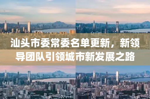 汕頭市委常委名單更新，新領導團隊引領城市新發(fā)展之路